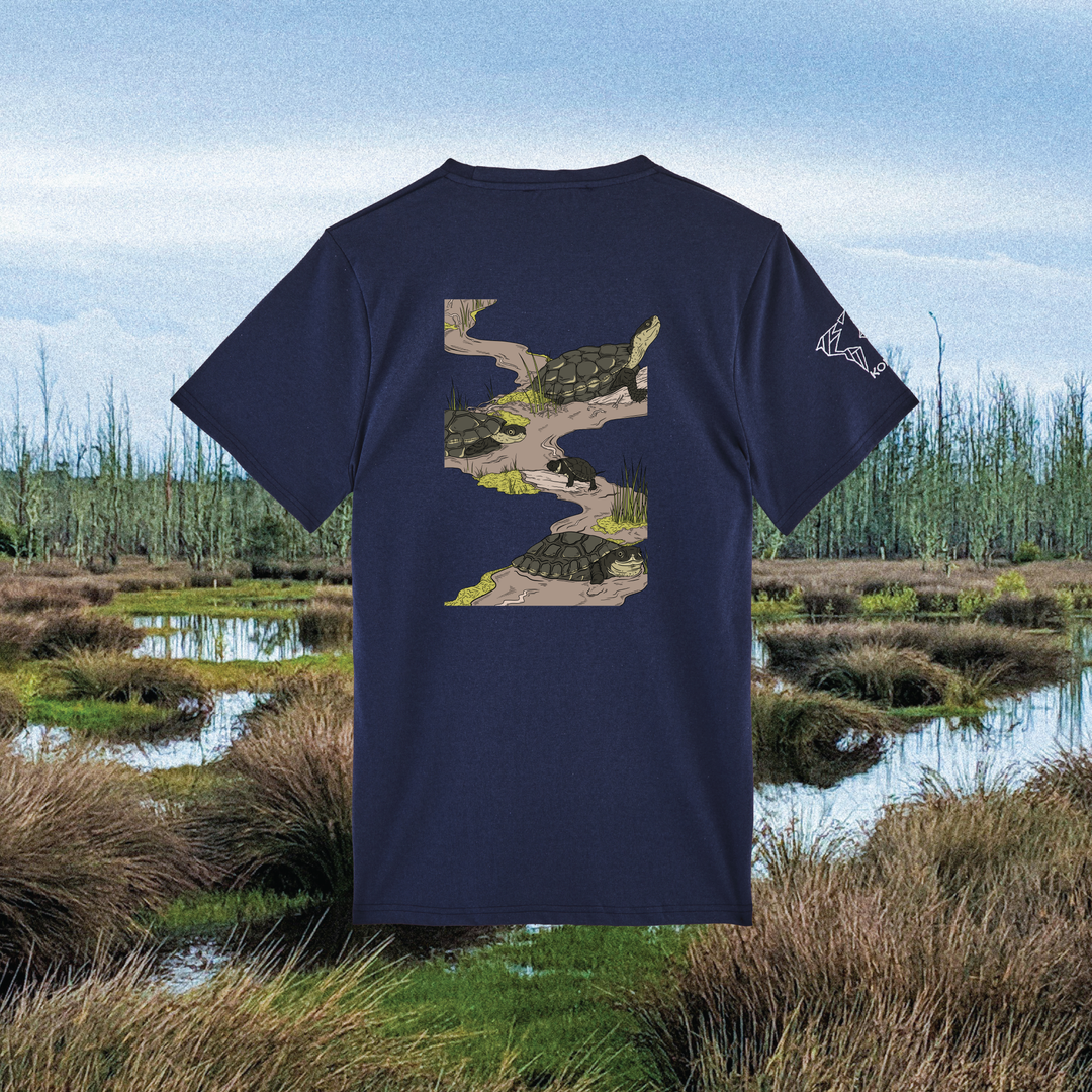 Parrot Fish • Wonders ✨ 