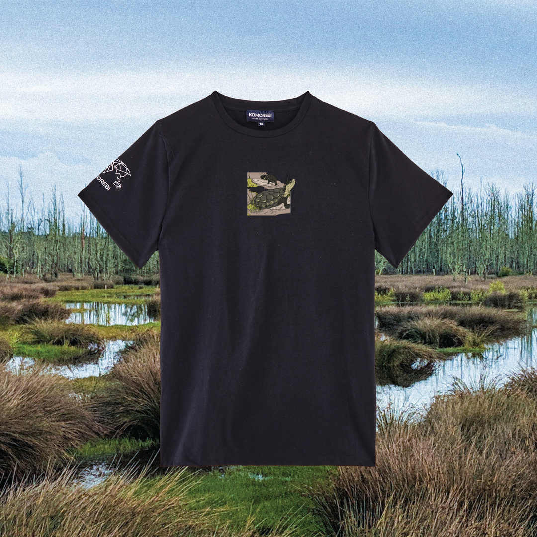 Parrot Fish • Wonders ✨ 