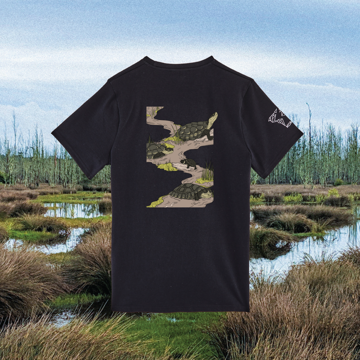 Parrot Fish • Wonders ✨ 